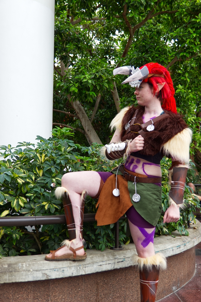Barbarian link — photo 6