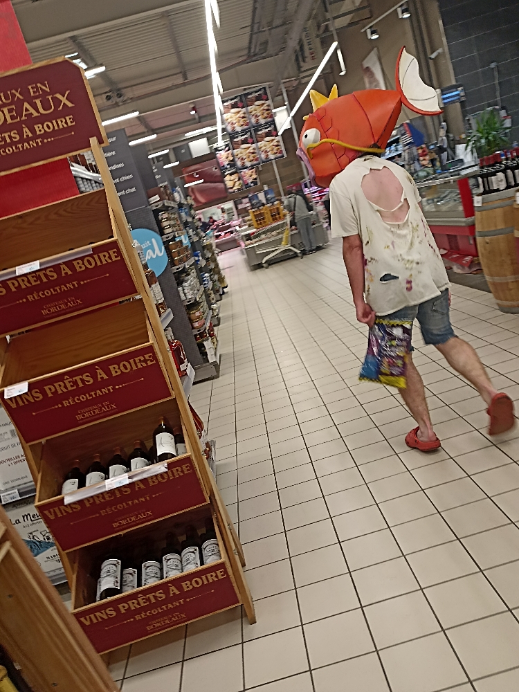Magicarpe Zombie — photo 9