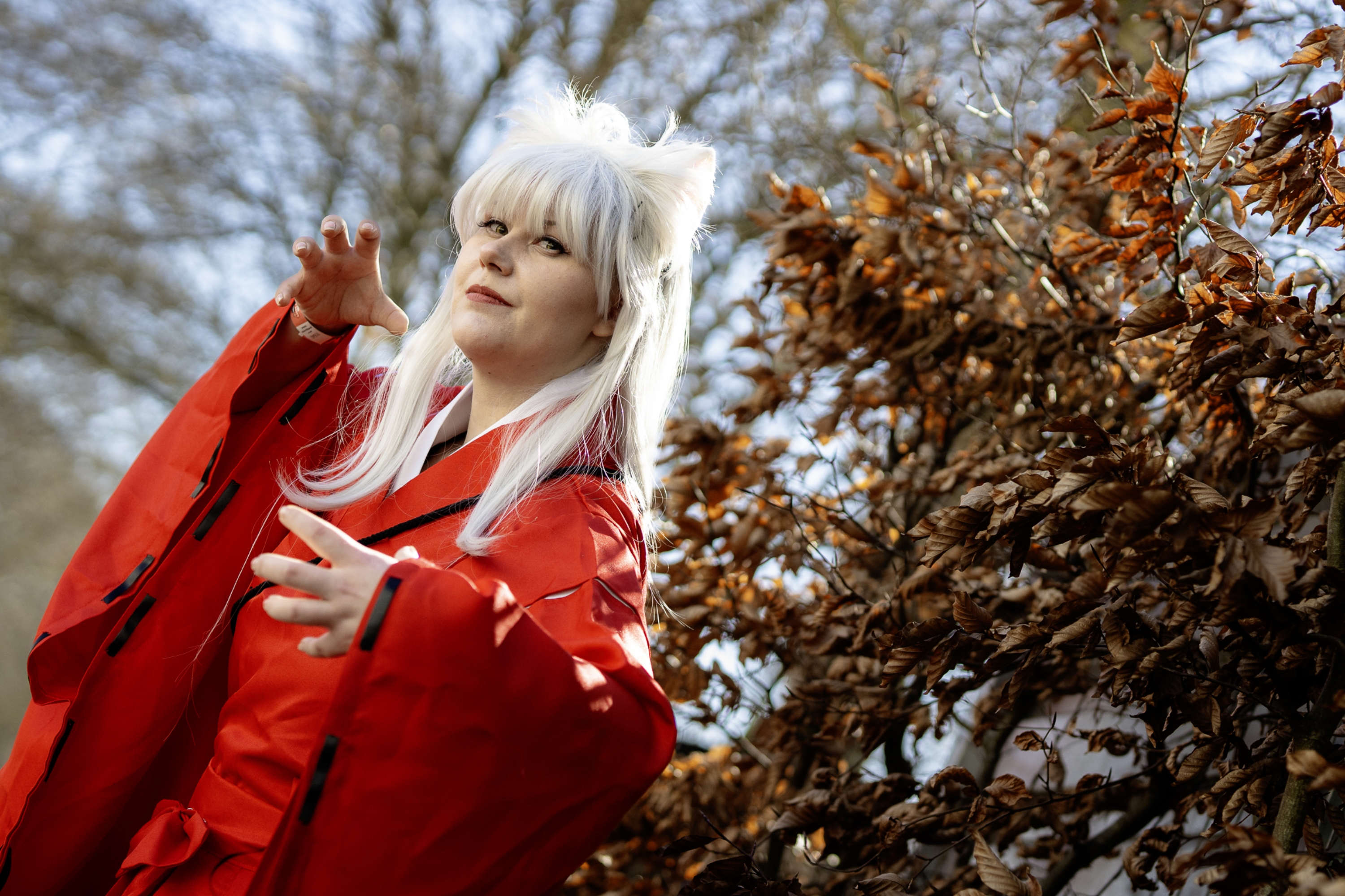 Inuyasha - Photo 3