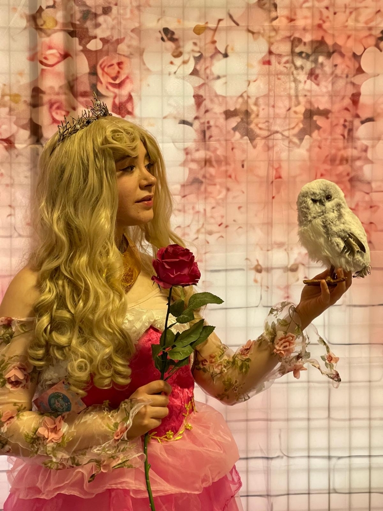 Princesse Aurore - Photo 3