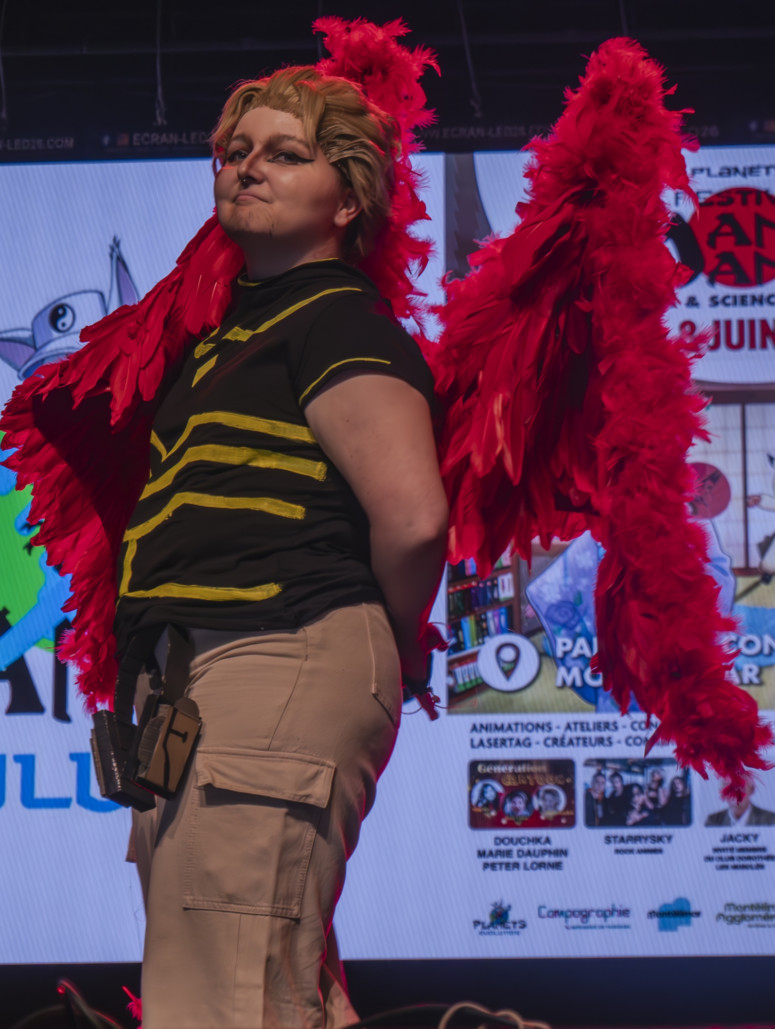 Hawks — photo 14