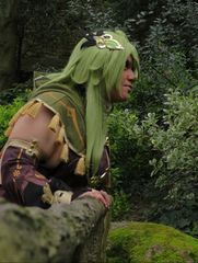 Collei preview 2