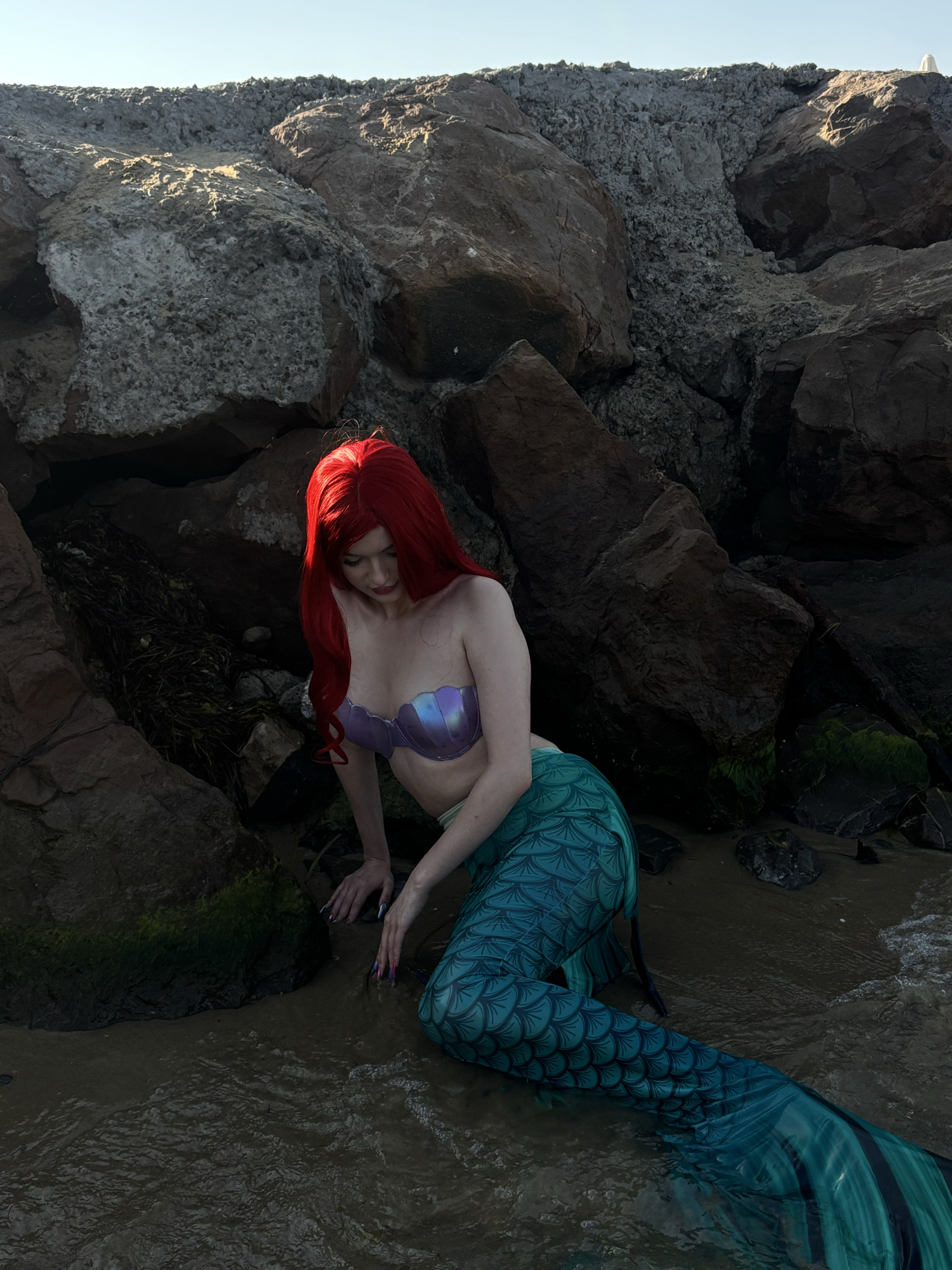 Ariel — photo 5