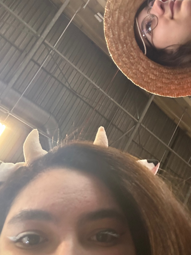 Cow girl — photo 9