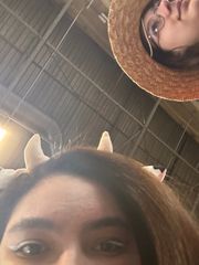 Cow girl preview 2