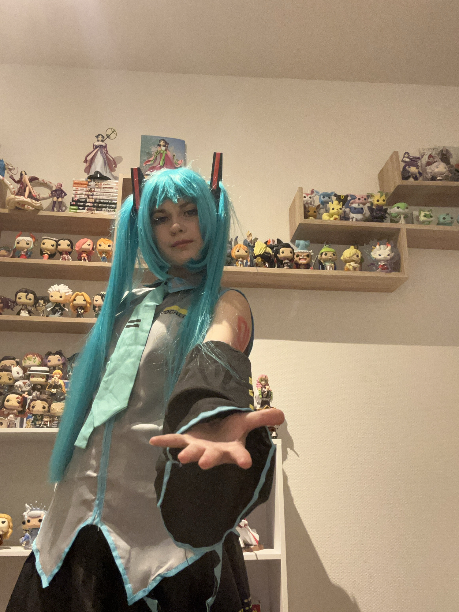 Hatsune Miku — photo 5