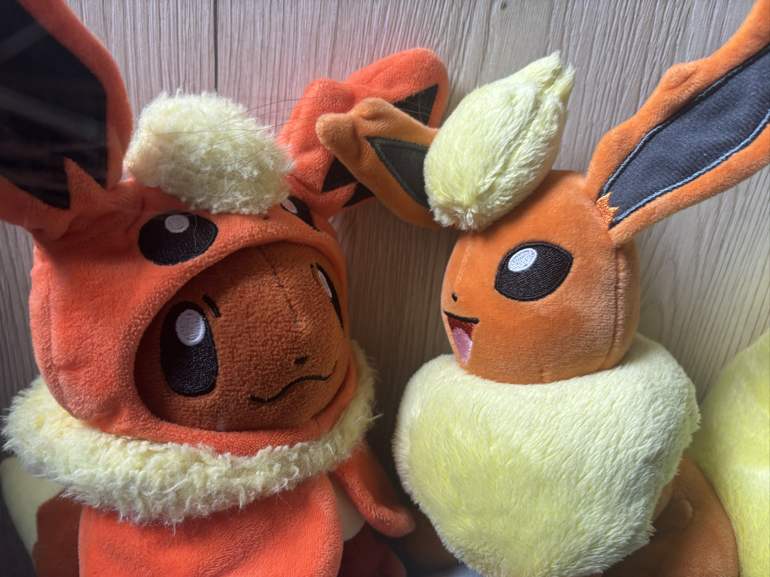 Evoli en Pyroli  - Photo 15