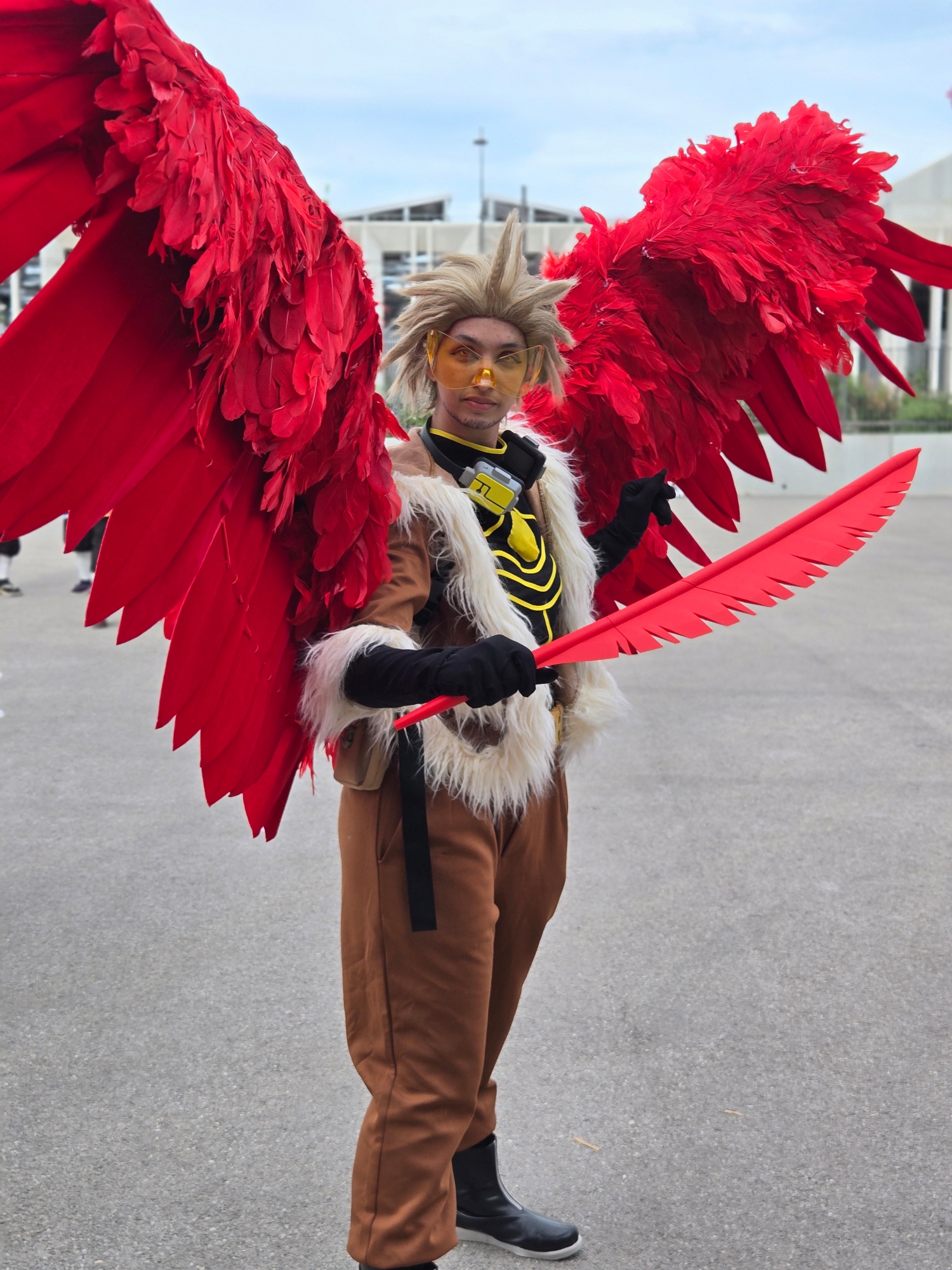Hawks — photo 51