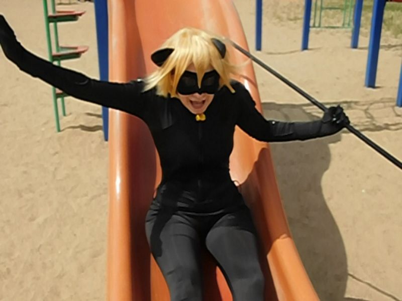 Pangofan - Chat Noir