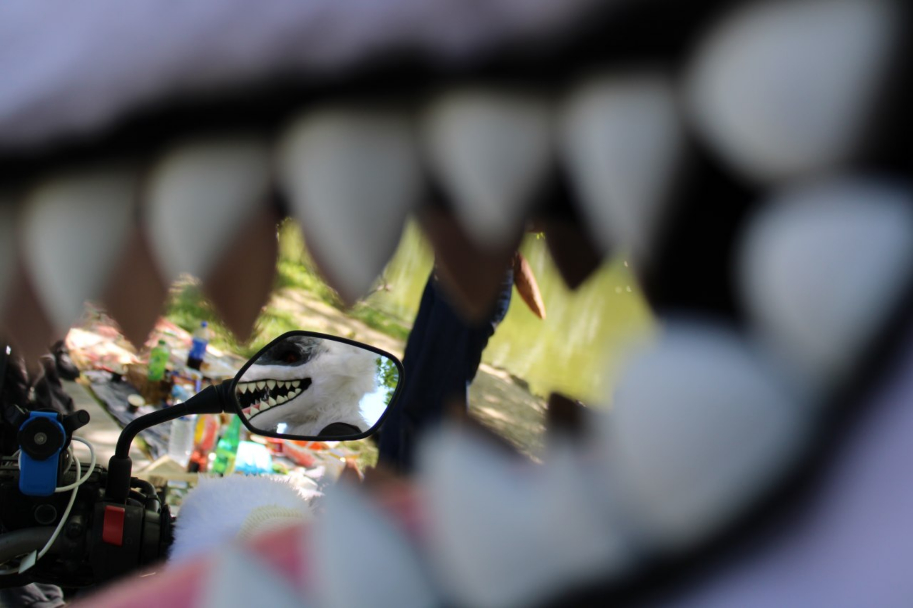 La Mort au parc 2 — photo 13