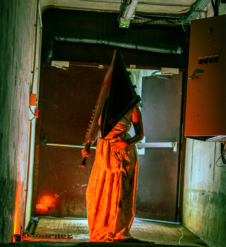 Pyramid head  - Photo 6