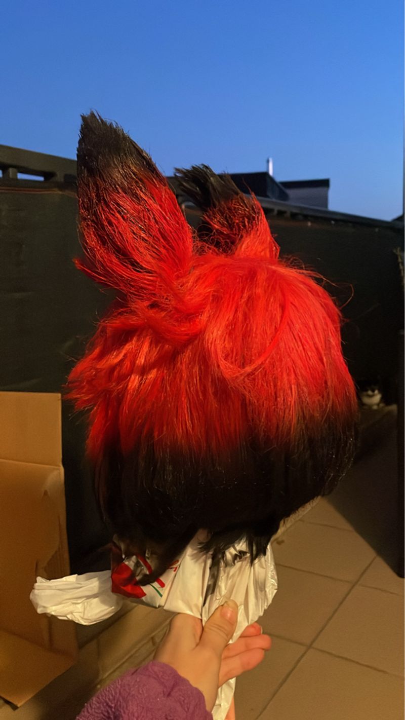 Oi.kiwii – Avancée Perruque