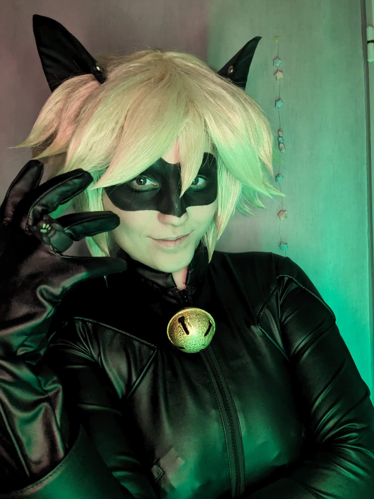 Chat noir — photo 11