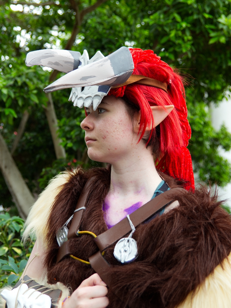 Barbarian link — photo 9