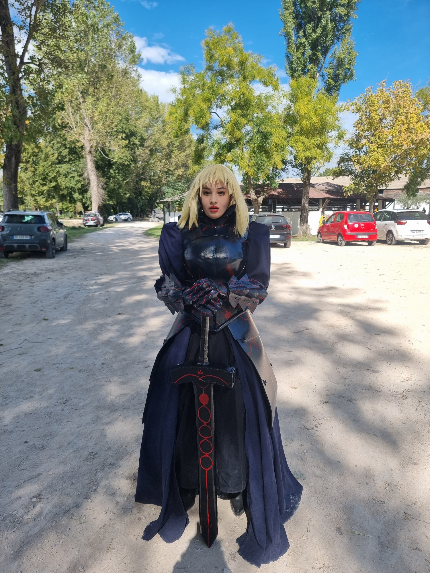 Saber alter — photo 5