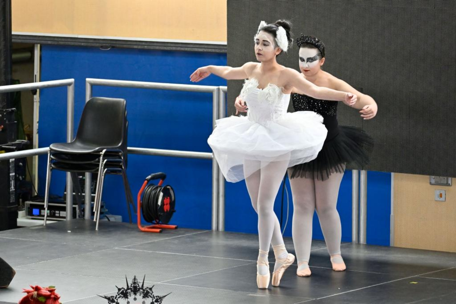 Black swan - Photo 4