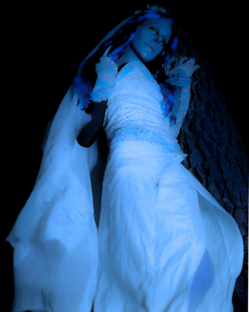 Halloween 2024 - Photo 16