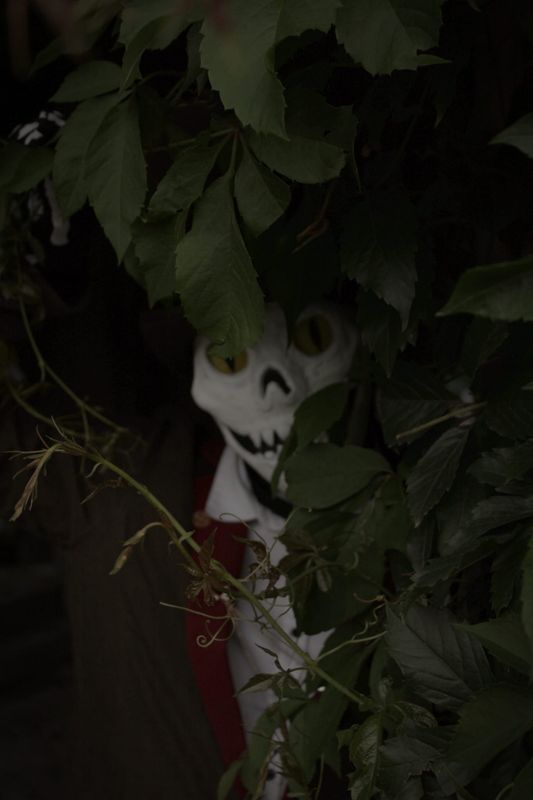 Blake2406 – Itward @ Animagic