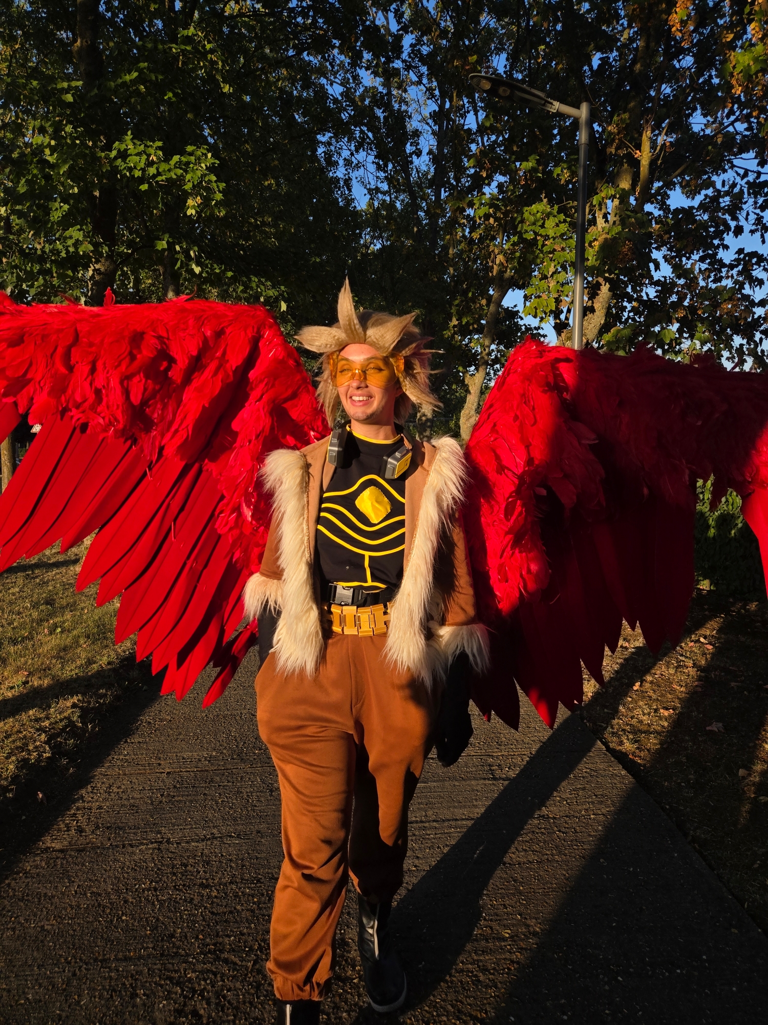 Hawks — photo 30