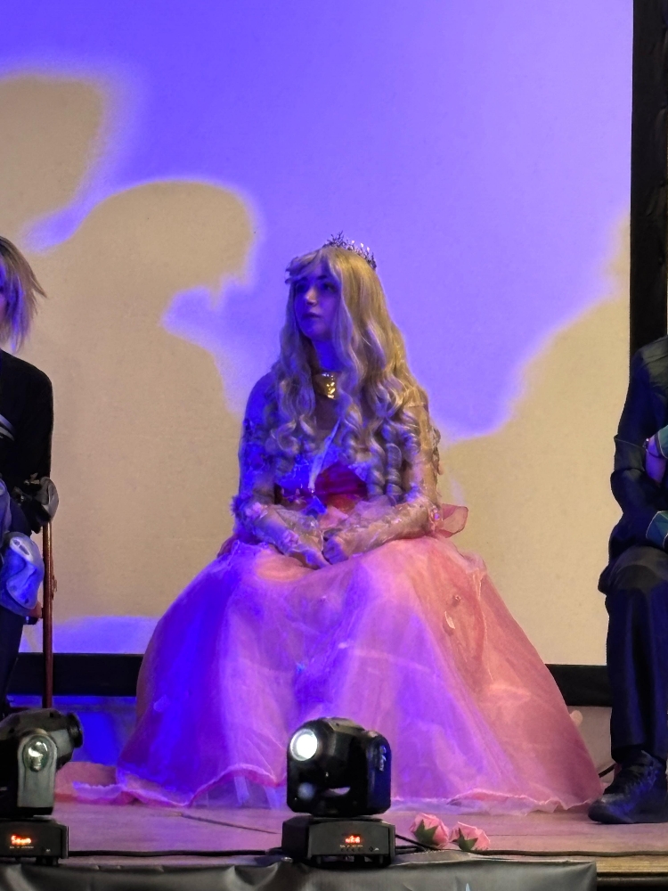 Princesse Aurore - Photo 8