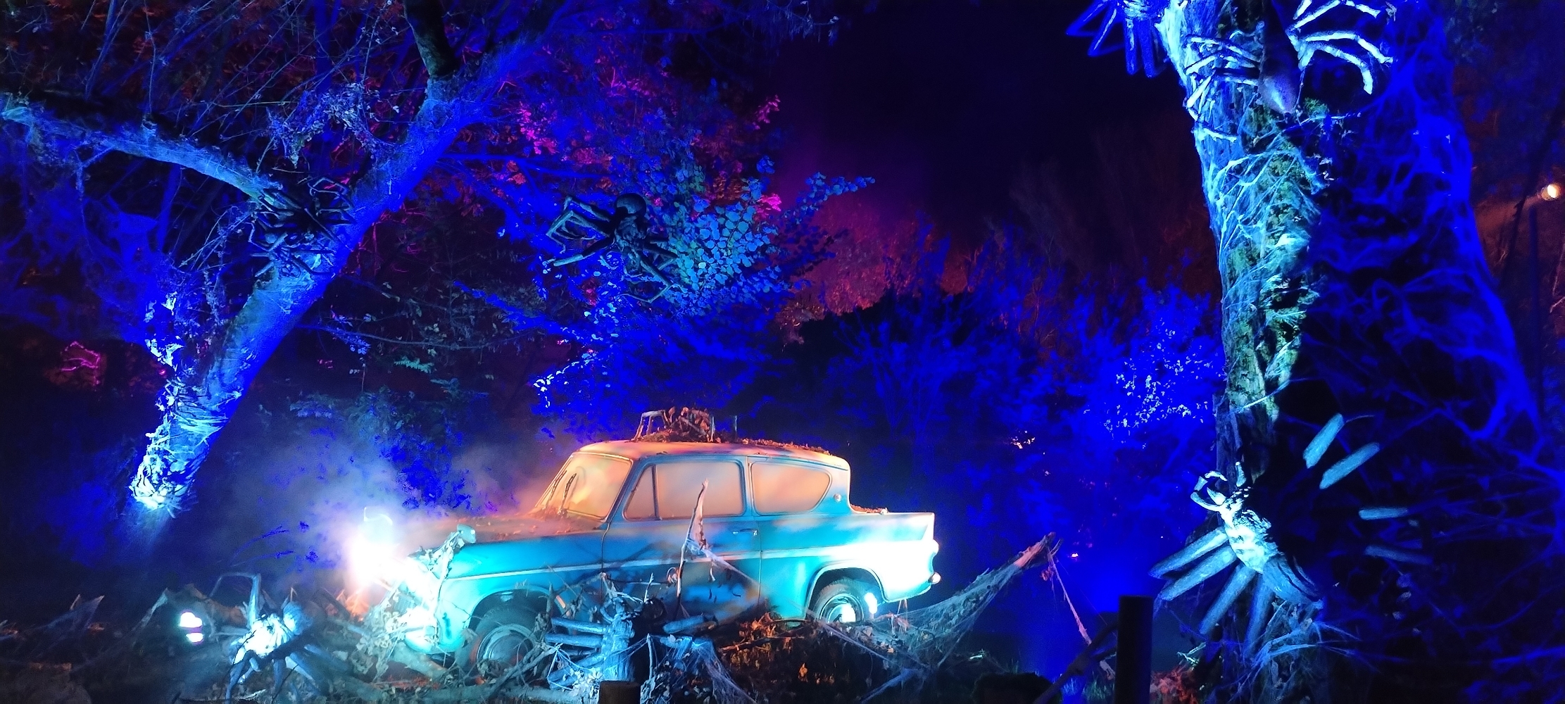 La forêt interdite - Photo 47