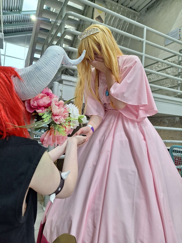 Bowser/Peach - Photo 5