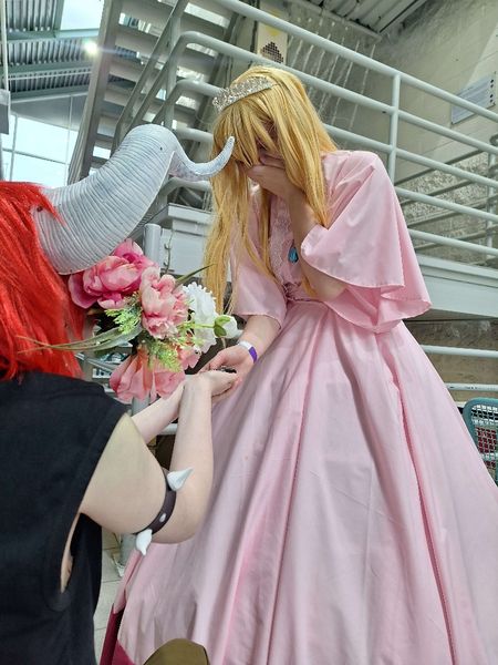 Pangofan - Bowser/Peach