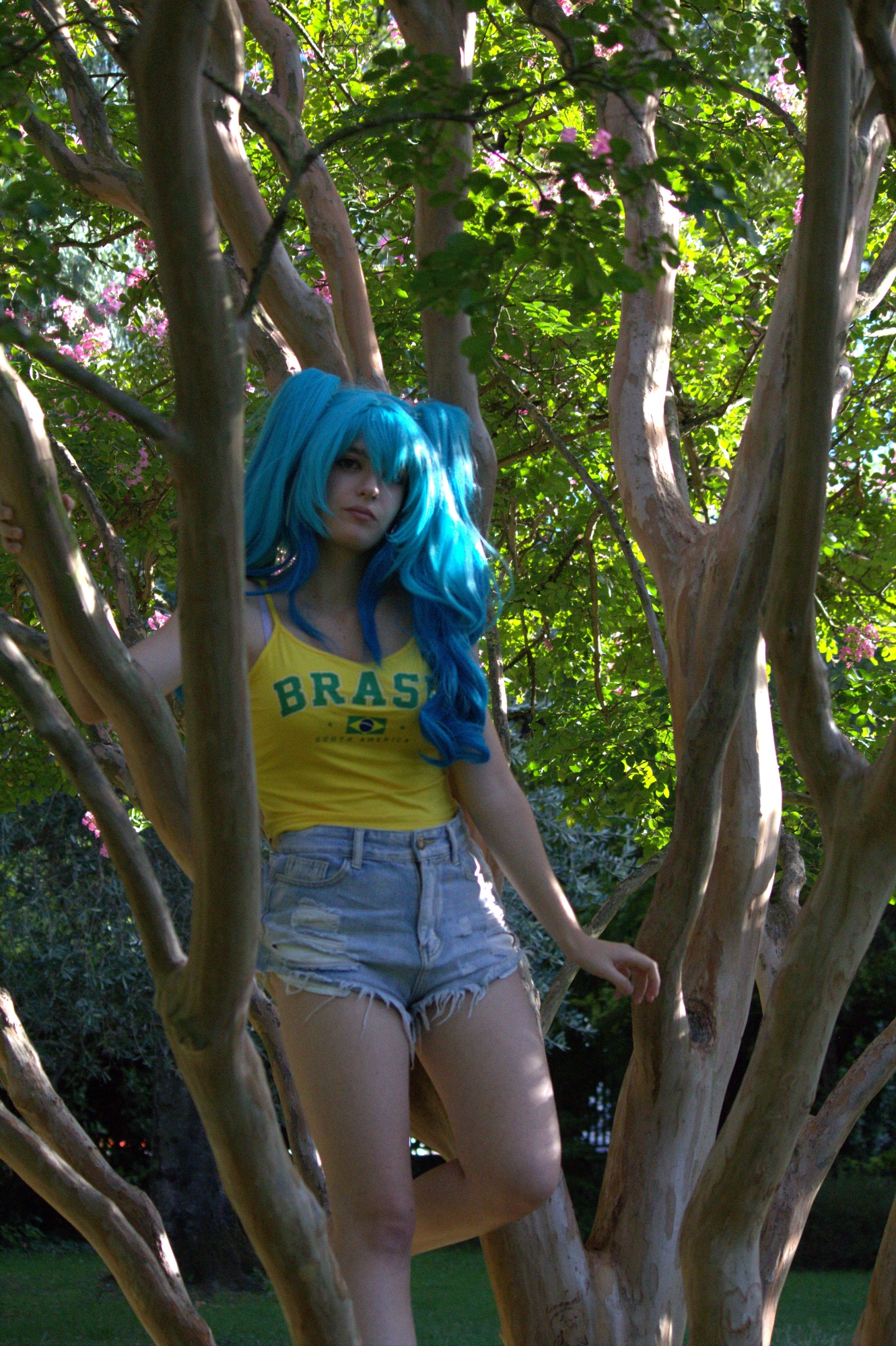 Hatsune Miku Brésil, photo 11