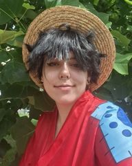 Luffy nature preview 2