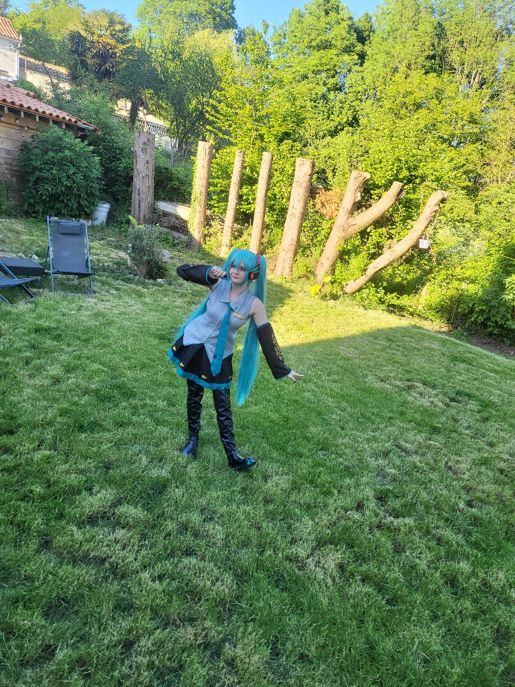 Miku — photo 10