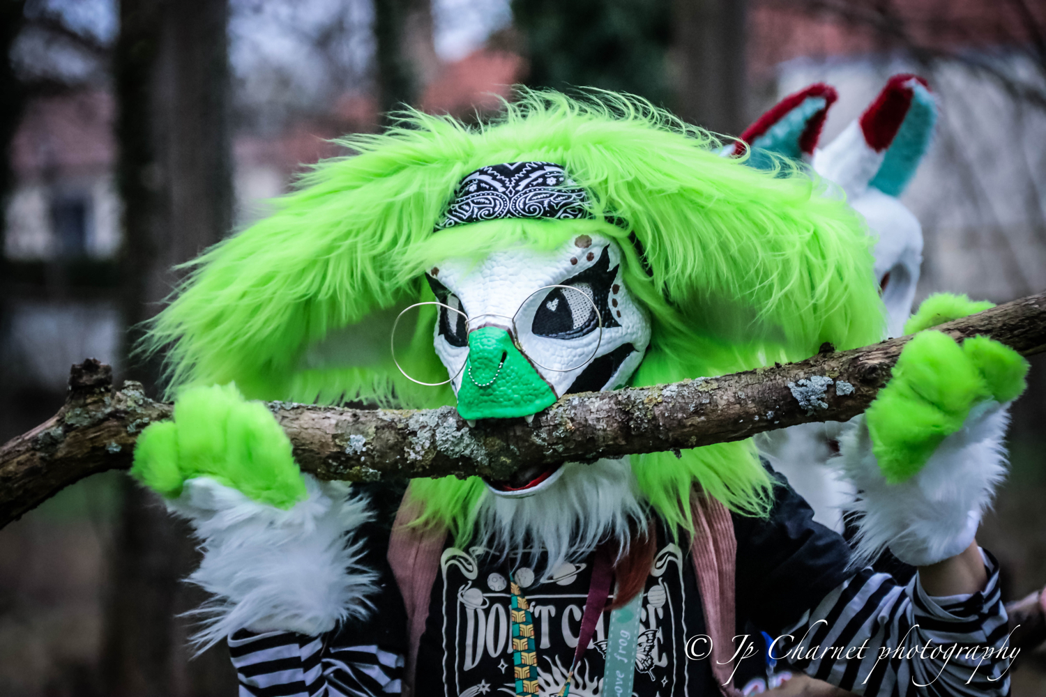 Migennes Collector - Photo 2