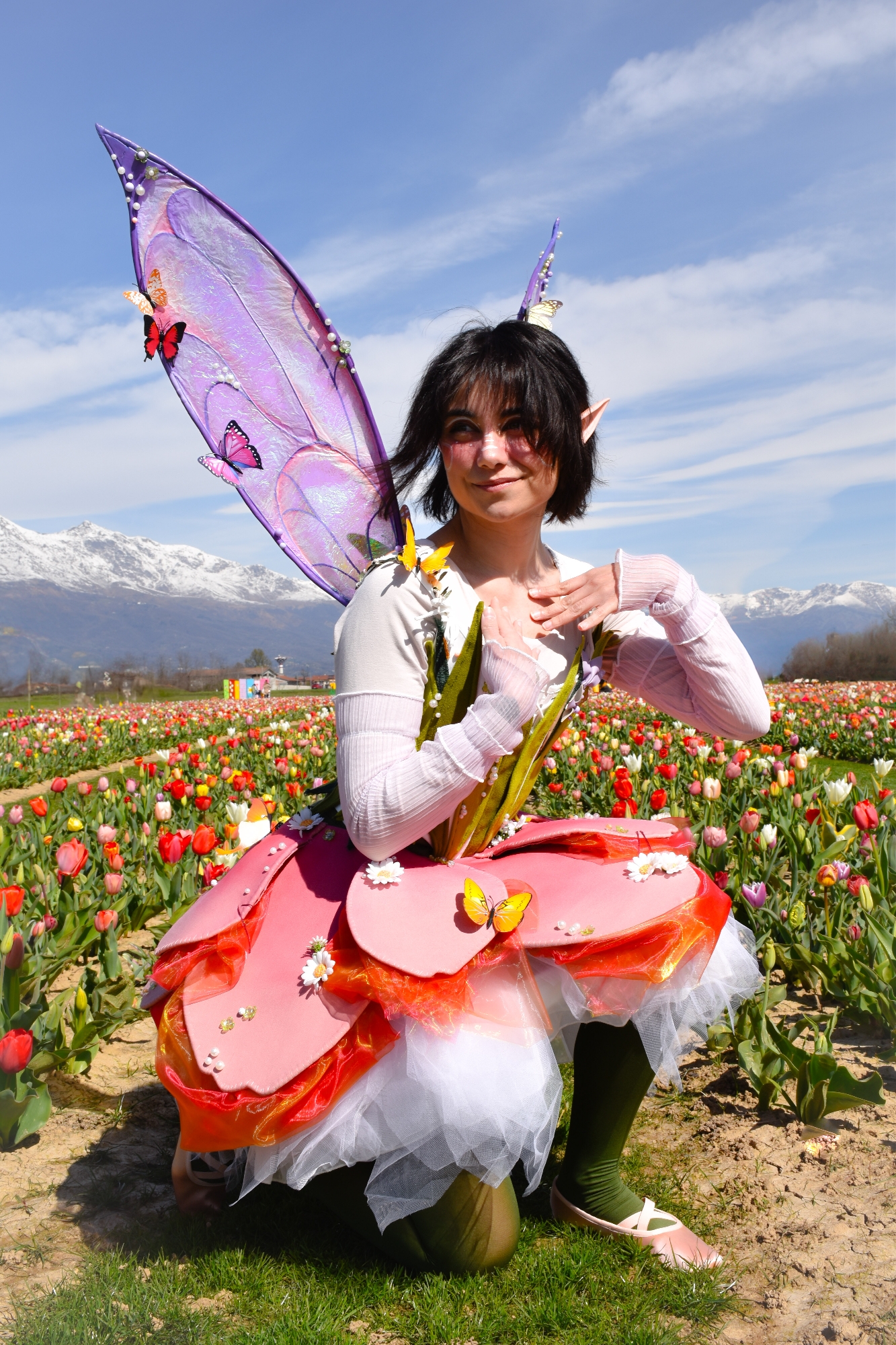 Lale the FairyTulip — photo 7