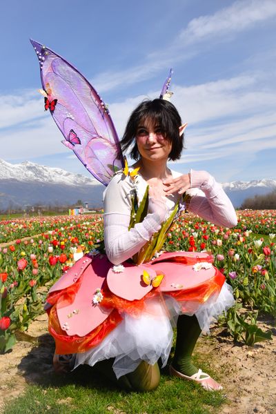 Mother_of_gatti - Lale the FairyTulip 