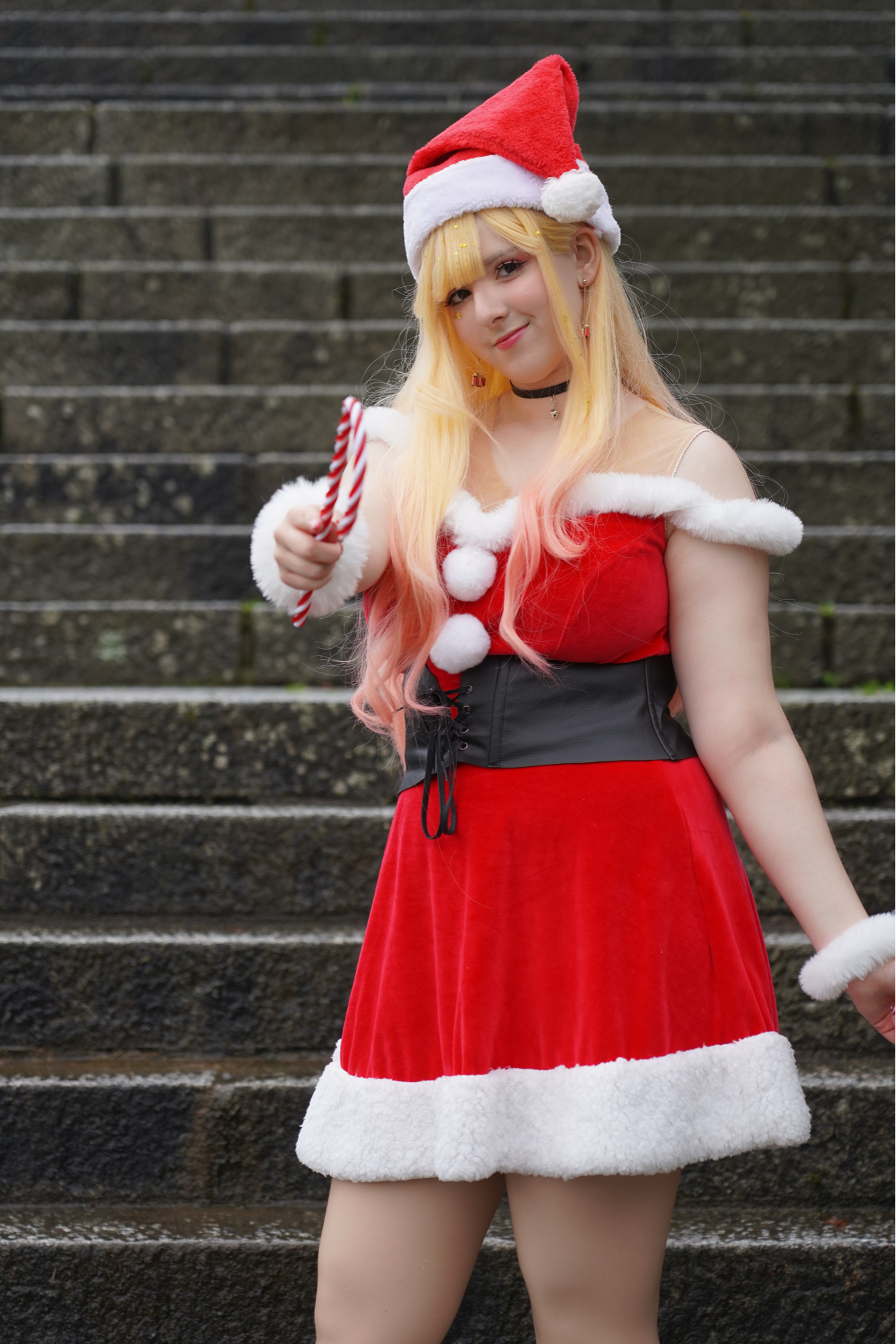 Marin Christmas  - Photo 4