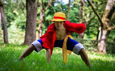 Monkey D Luffy preview 3