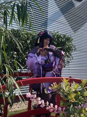 Raiden Shogun preview 2