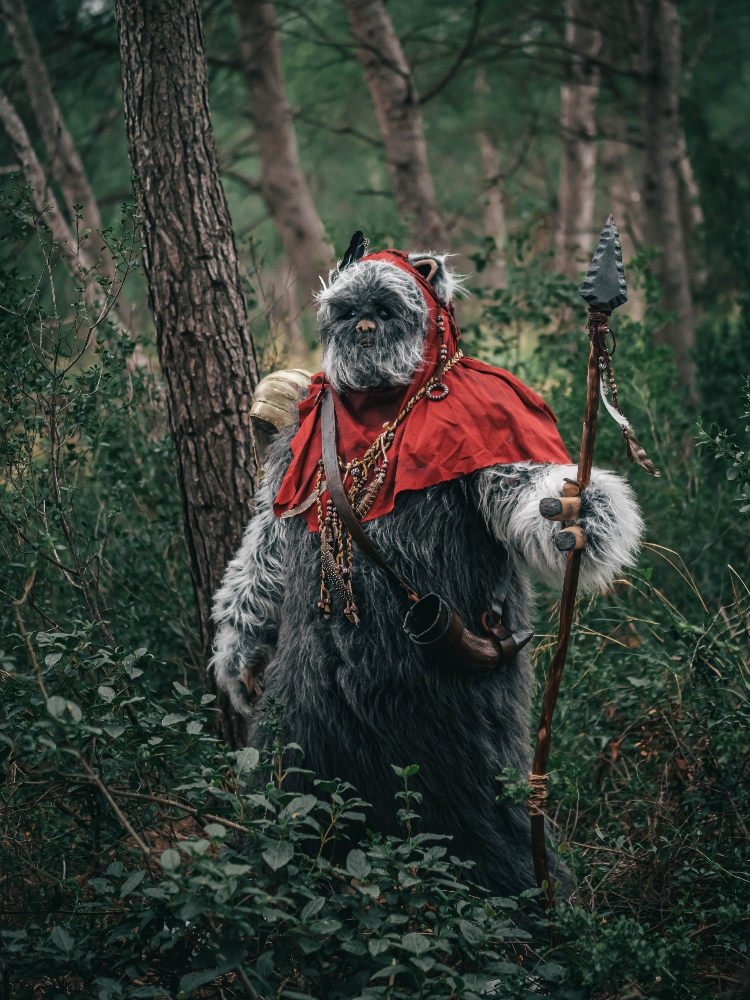 Forest Shooting - Photo 3