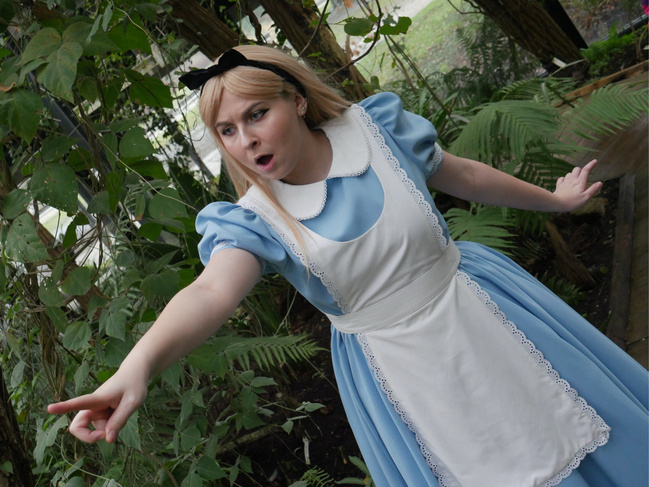 Alice — photo 6