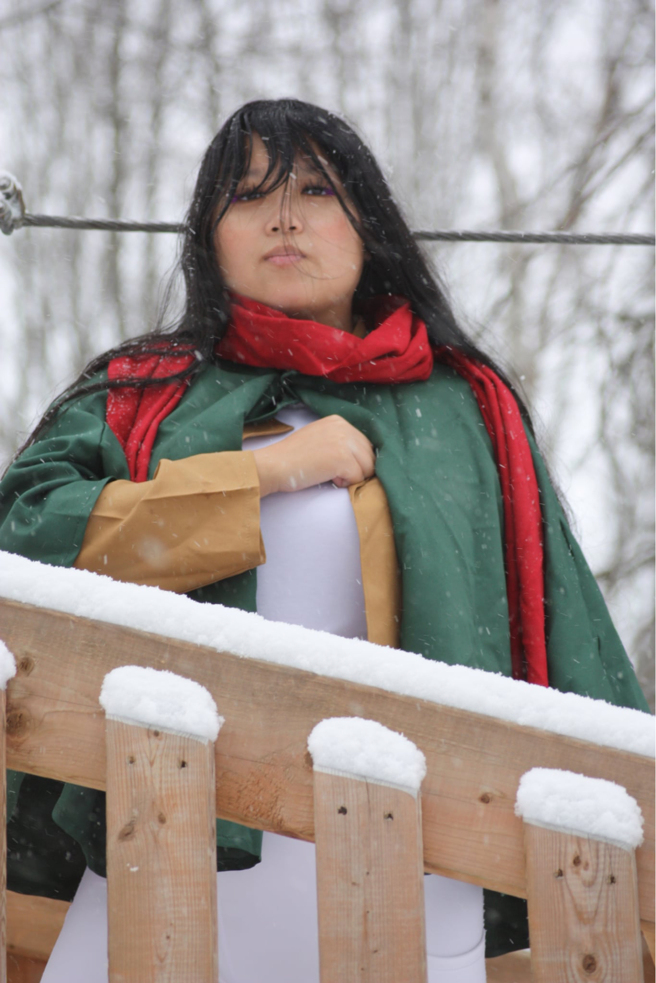 Mikassa — photo 15
