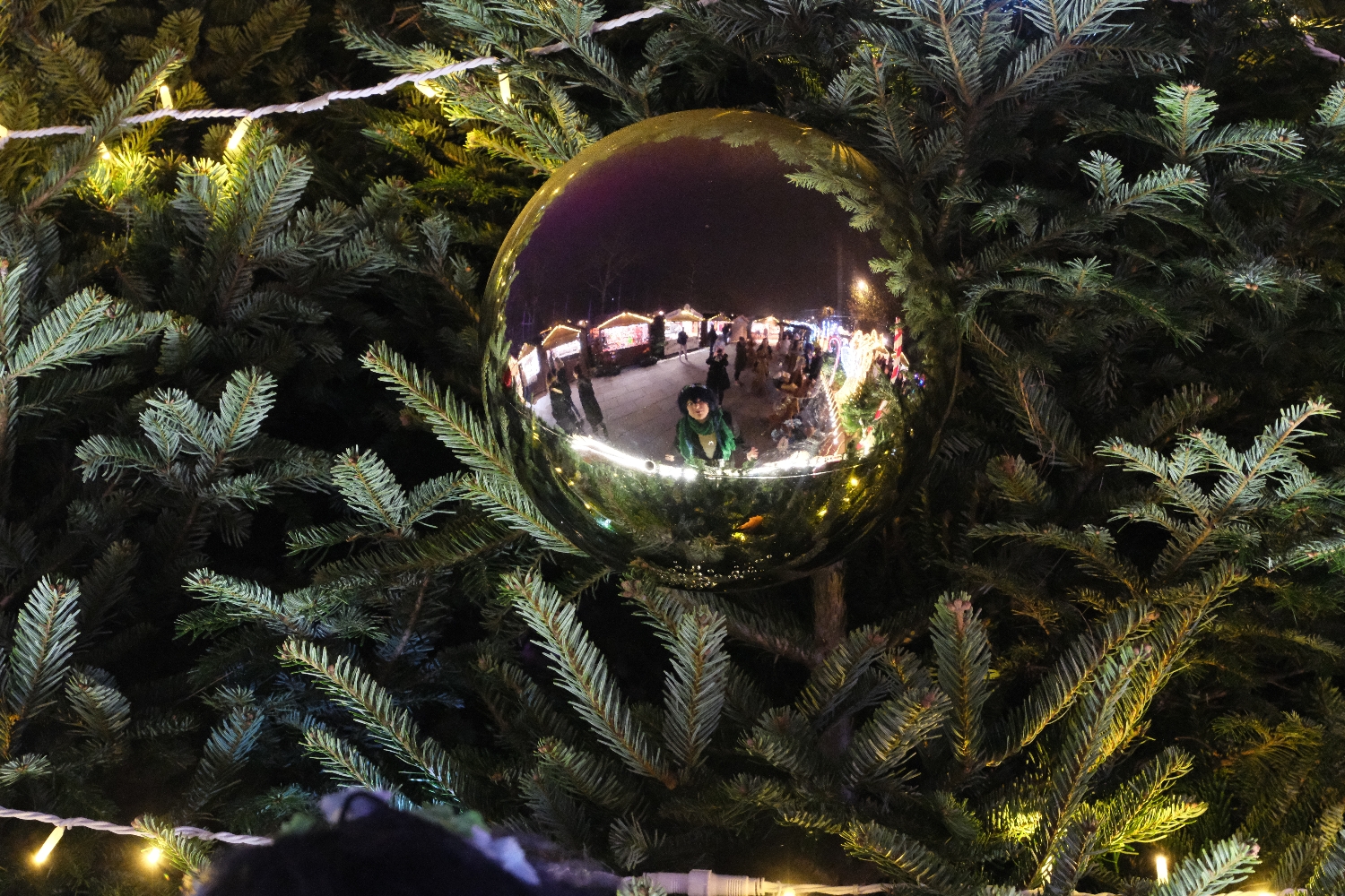 Venti Noël  - Photo 7