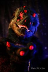 Gator preview 3