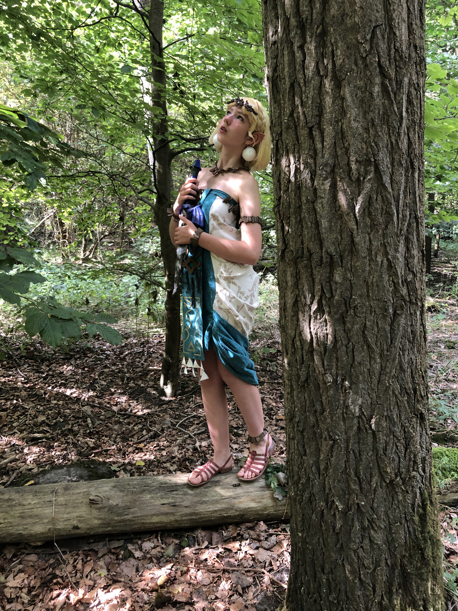 Zelda totk — photo 9
