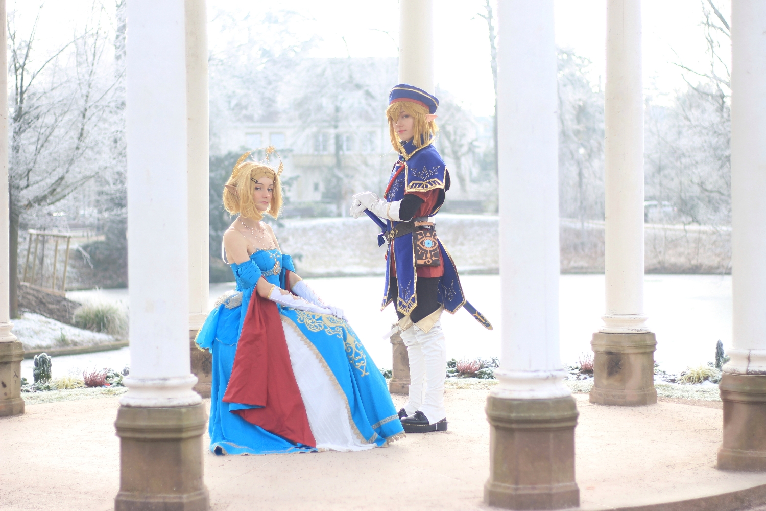 Link royal guard - Photo 8