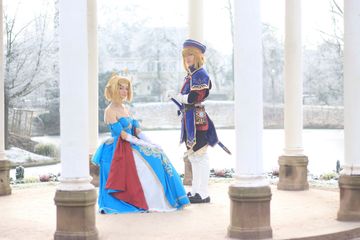 Link royal guard preview 2