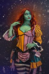 Sally historique preview 3