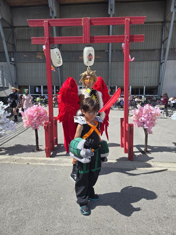 Marie_co – Hawks et mini bakugo