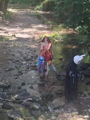 T preview 3