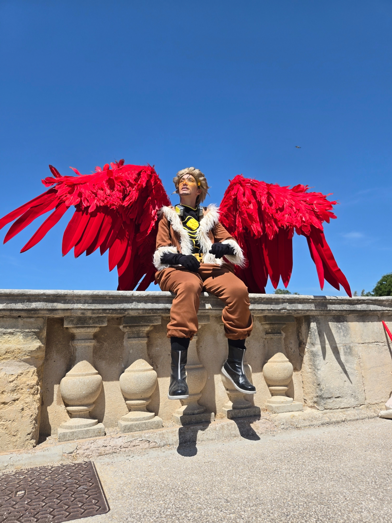 Hawks, photo 262