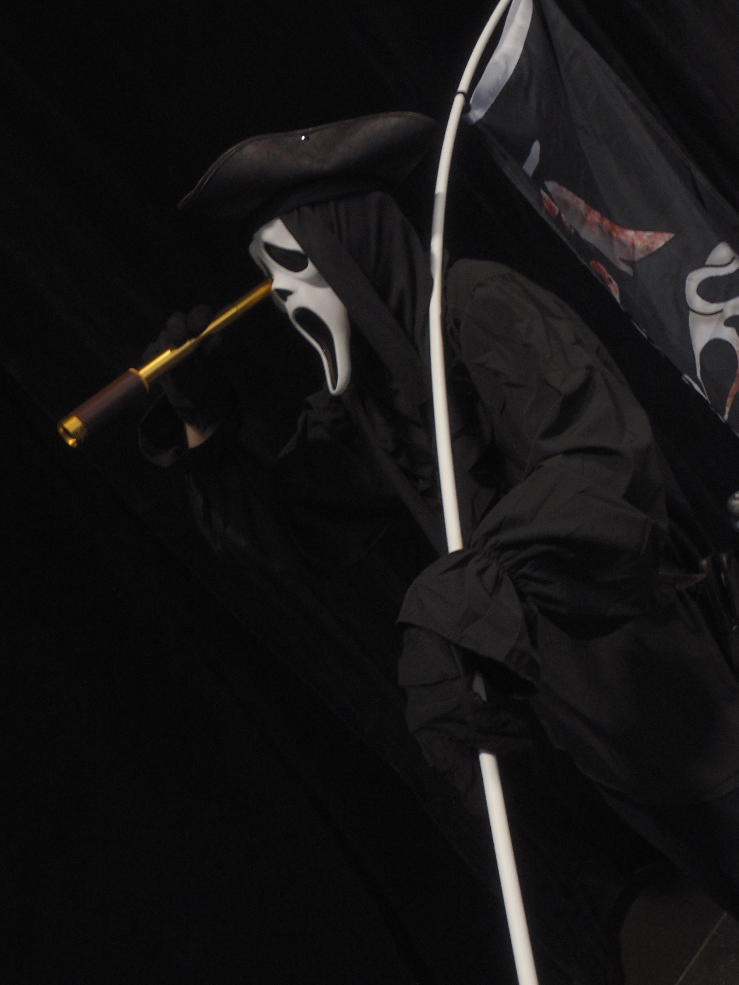 Ghost Face Pirate — photo 7