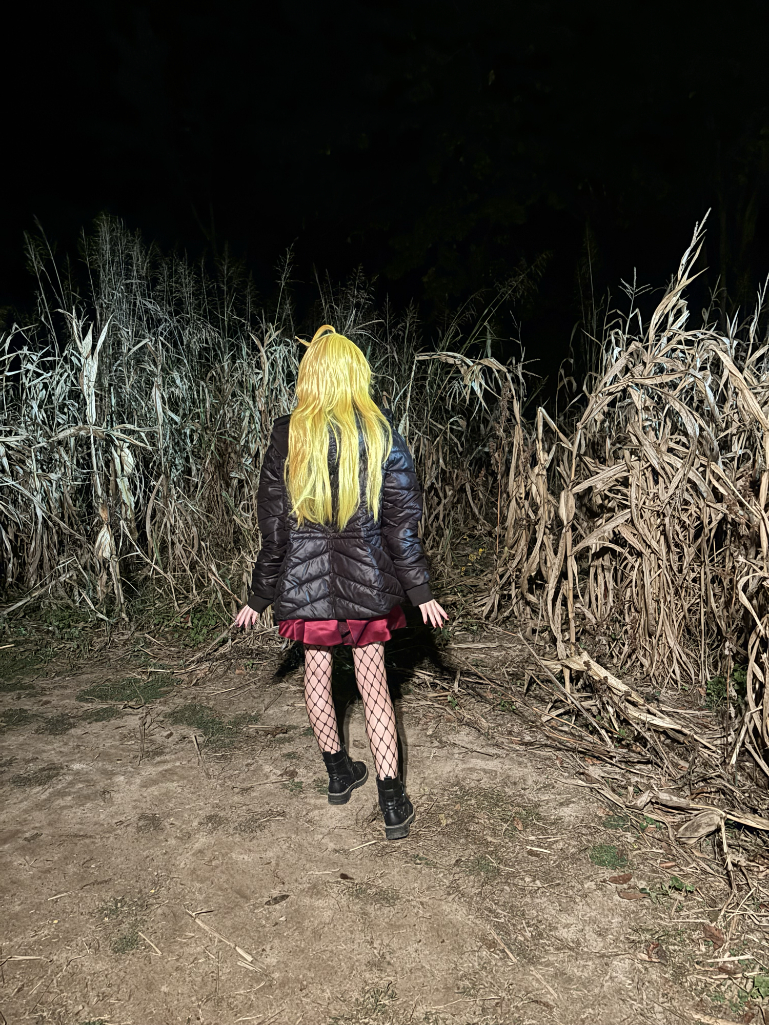 Panty Anarchy - Photo 5